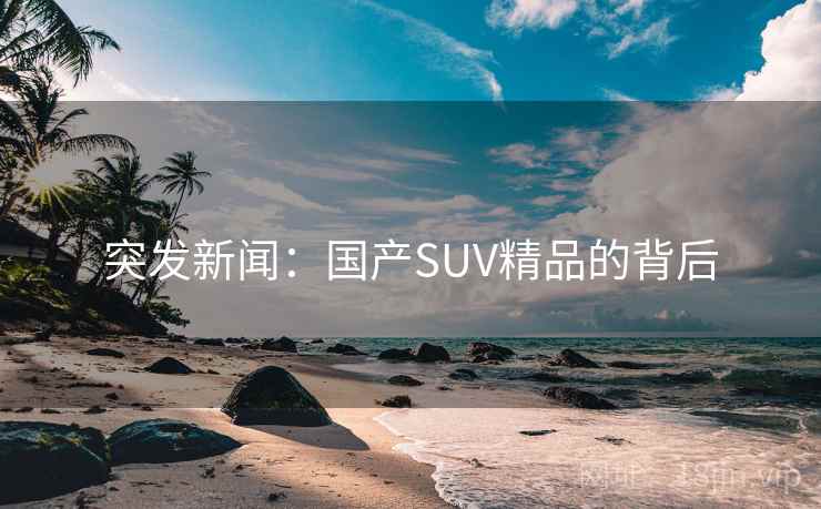 突发新闻：国产SUV精品的背后